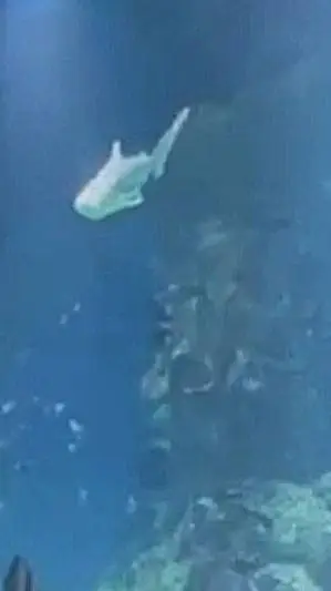 ai character: blackthorn high background