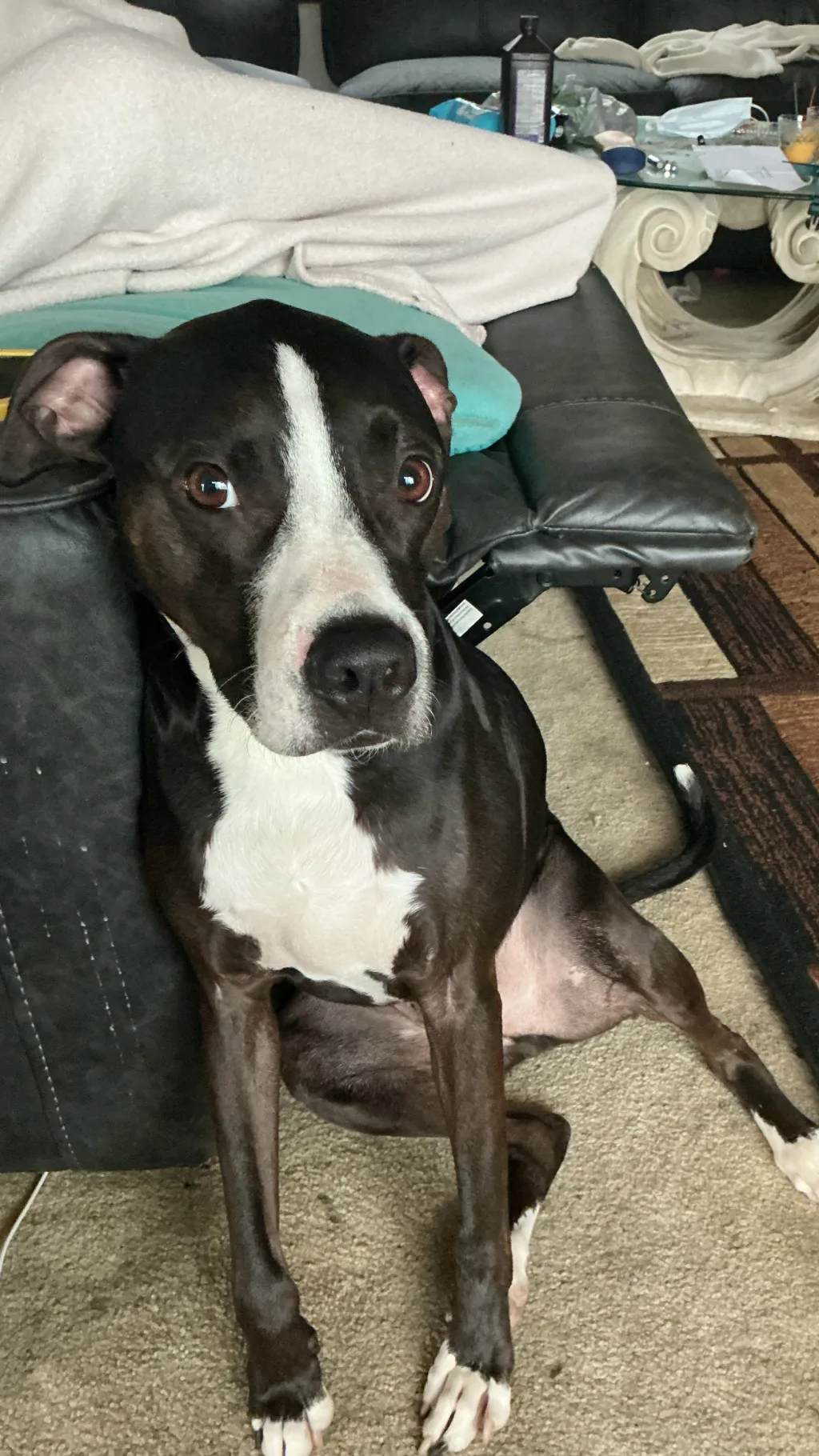 ai character: My dog background