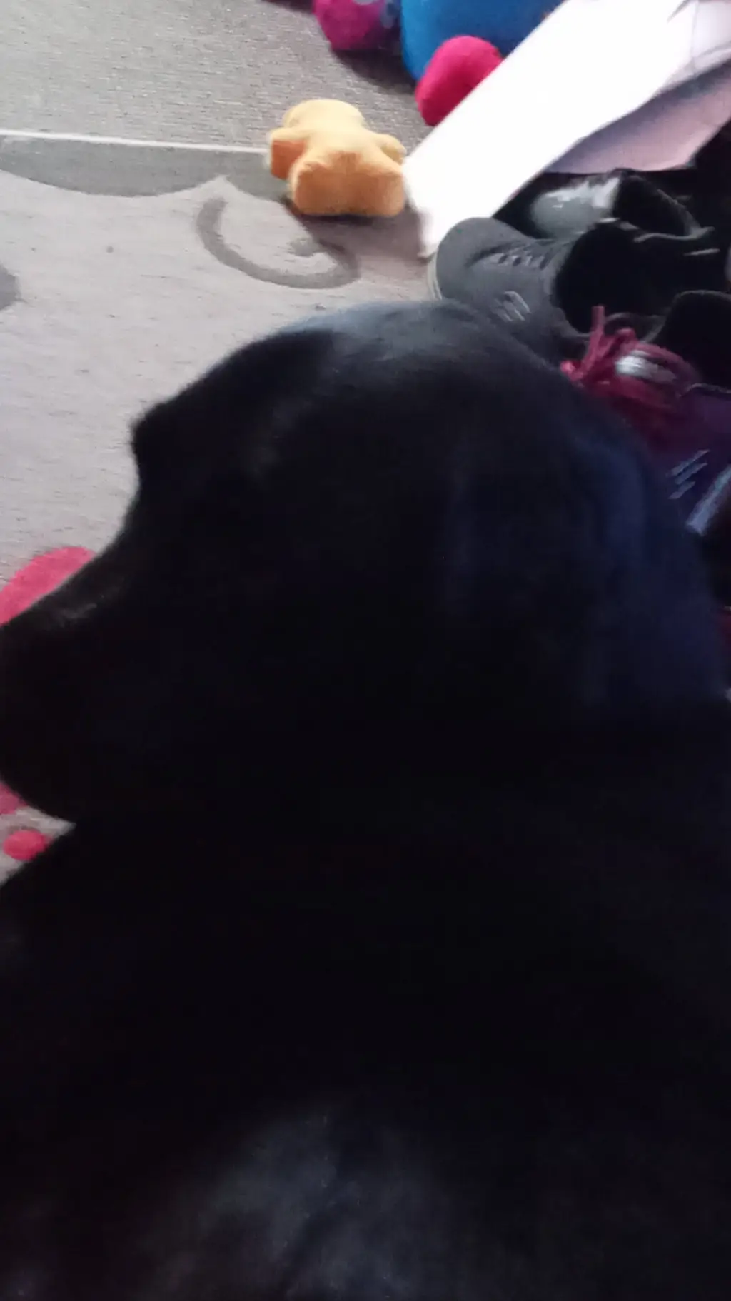 ai character: daino background