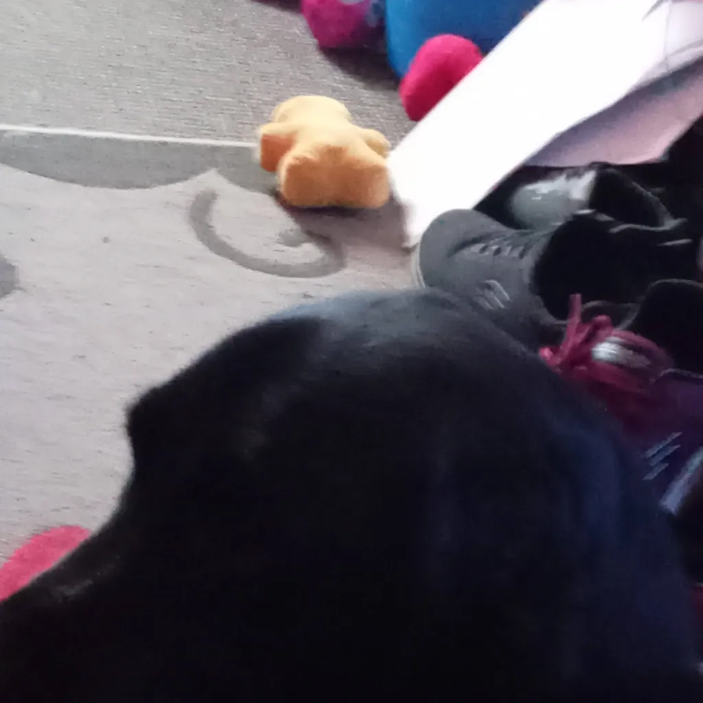 chat with ai character: daino