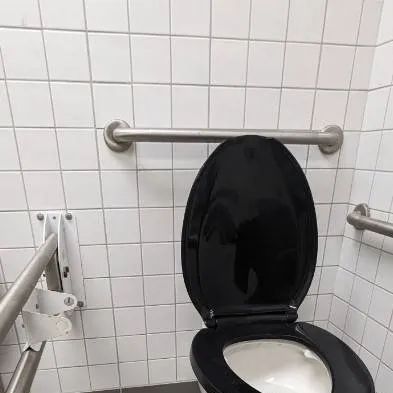 chat with ai character: school toilet