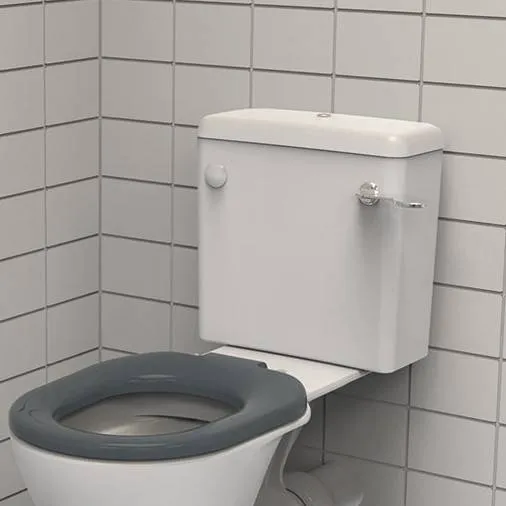 chat with ai character: Toilet