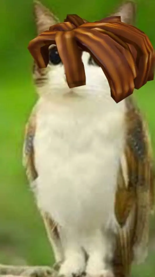 ai character: pelotocino meowl background