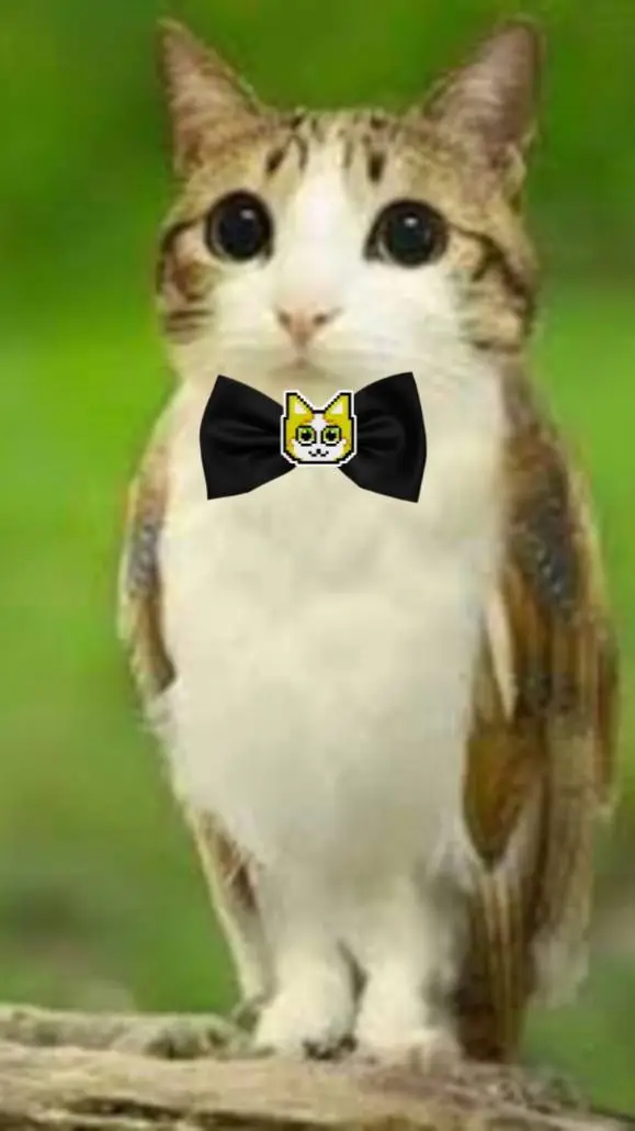 ai character: gato elegante background