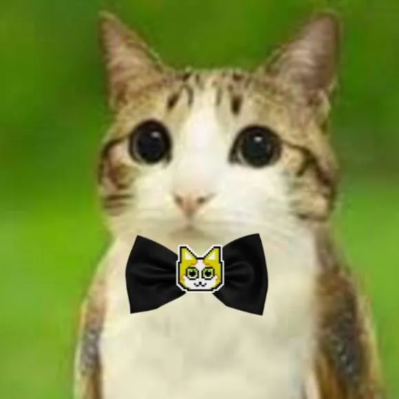 chat with ai character: gato elegante