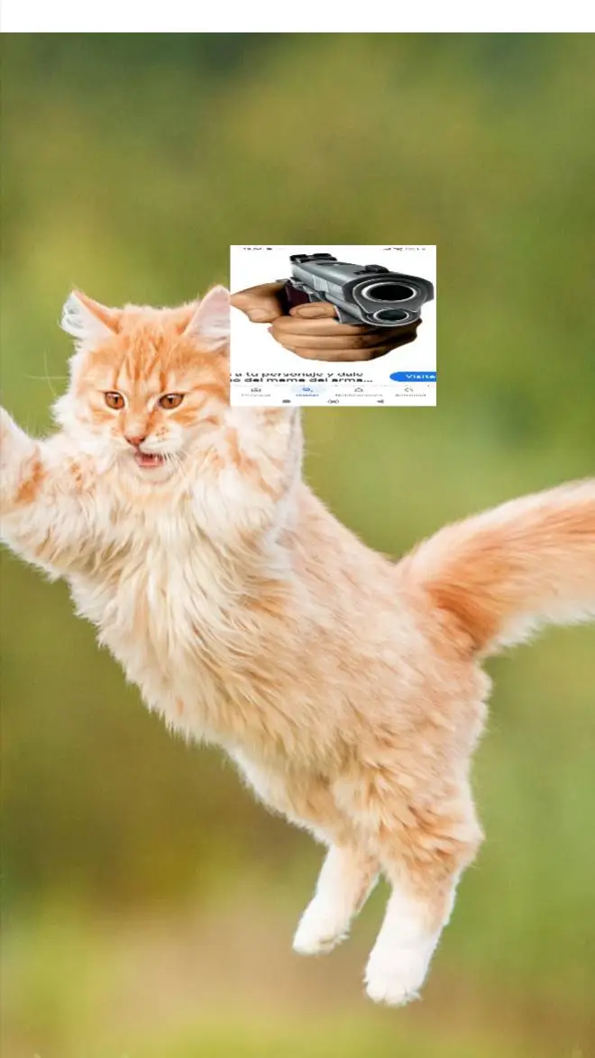 ai character: gato boliviano background