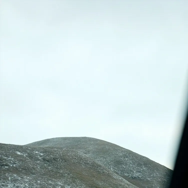 chat with ai character: nico