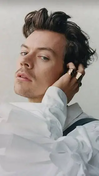 ai character: Harry Styles ❤️💚 background