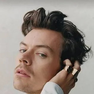 chat with ai character: Harry Styles ❤️💚