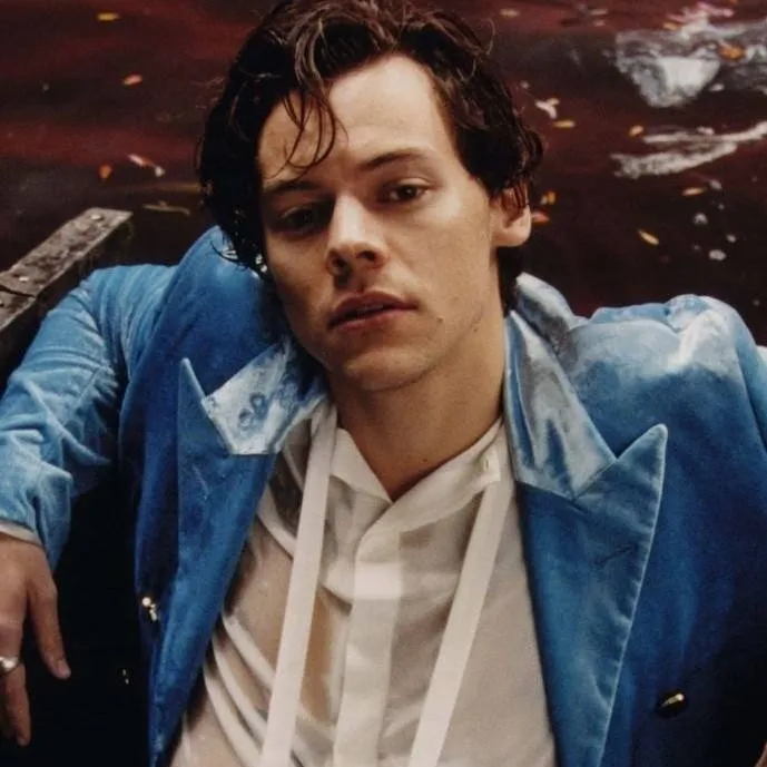 chat with ai character: Harry Styles 