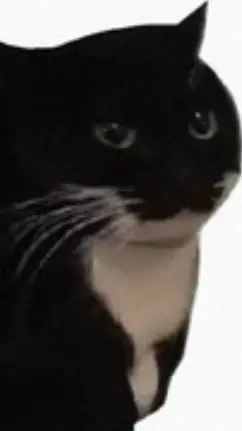 ai character: Maxwell the cat background