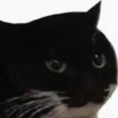 chat with ai character: Maxwell the cat