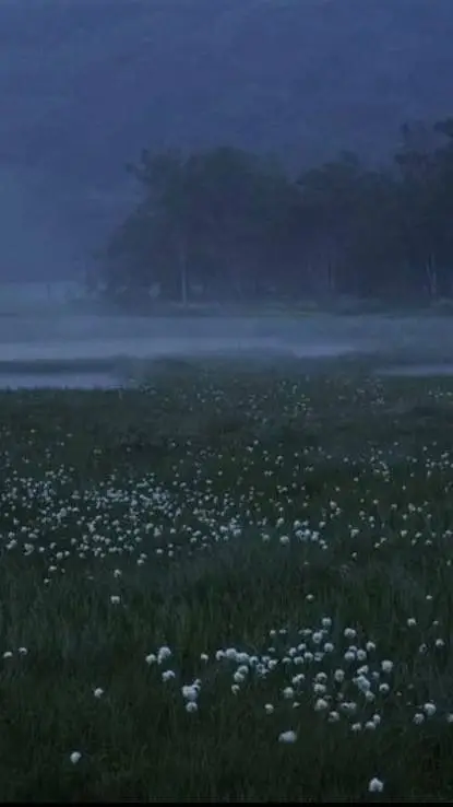 ai character: mha en tu bosque background