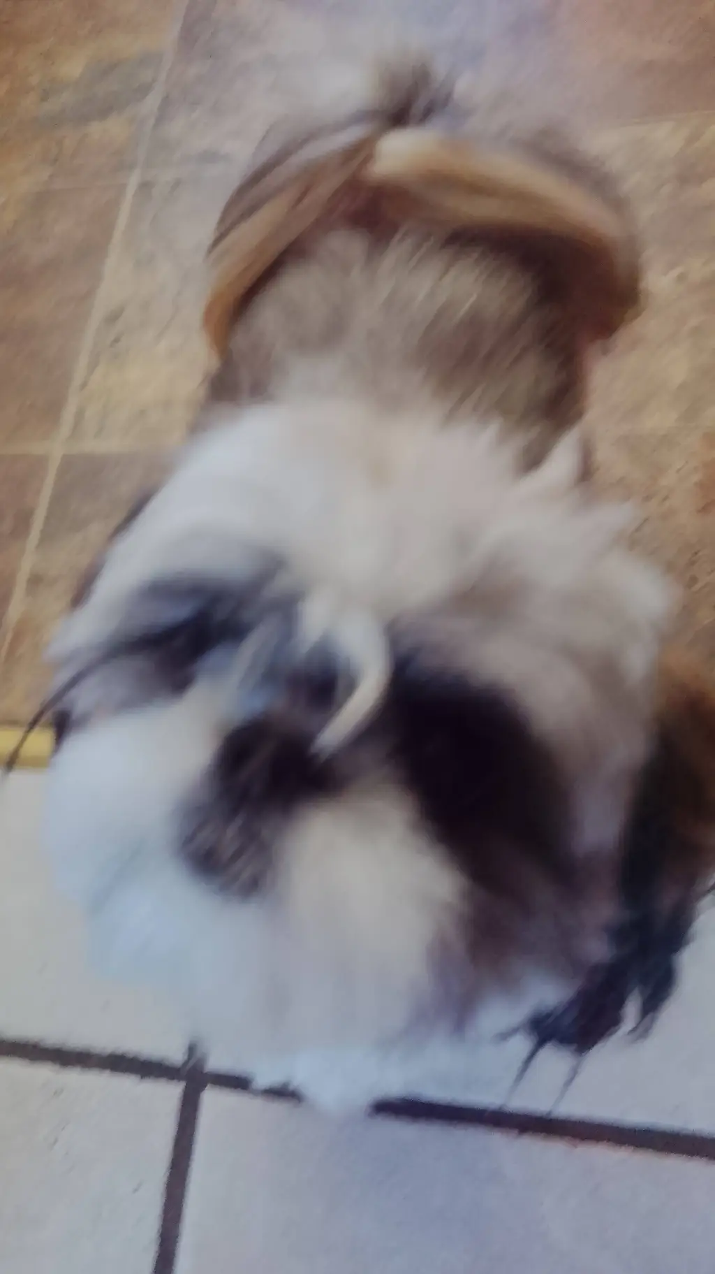 ai character: tadc apocalypse background