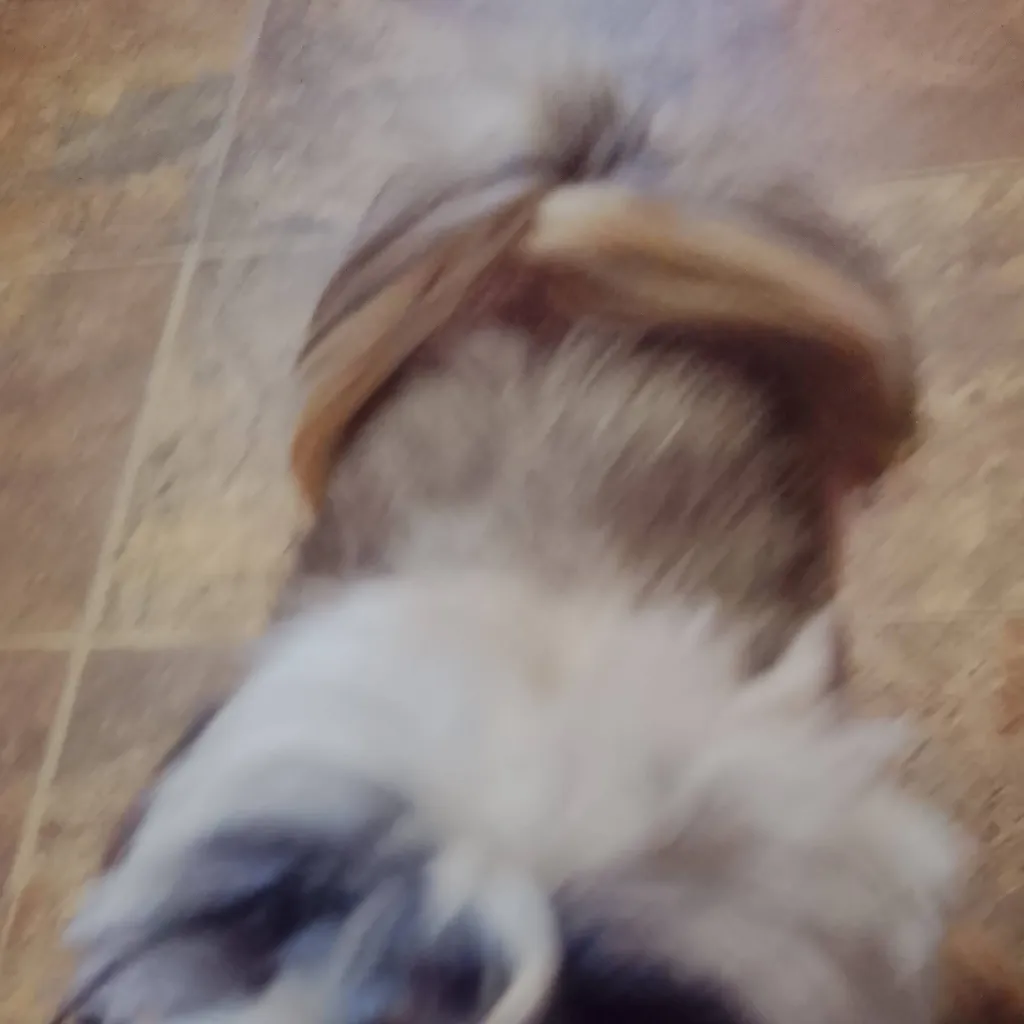 chat with ai character: tadc apocalypse