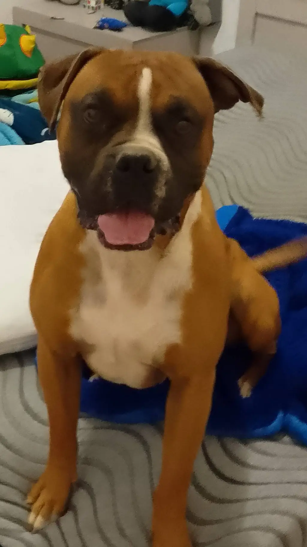 ai character: broni background