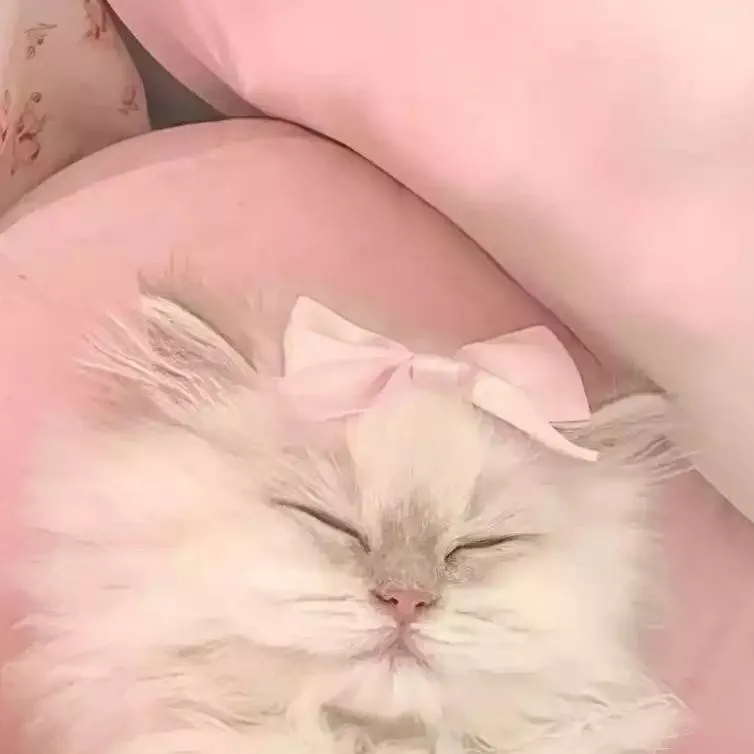 chat with ai character: King for a day