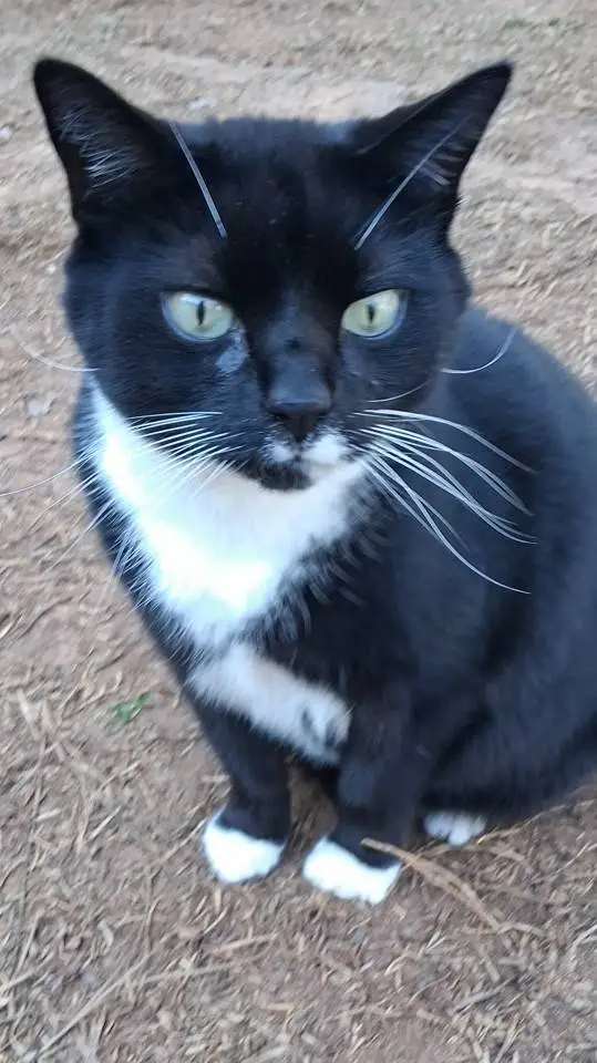 ai character: trend background