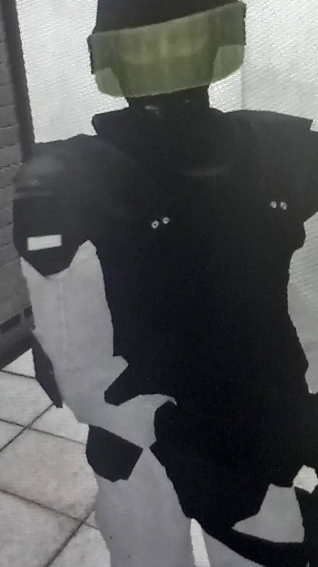 ai character: Scp guard  background