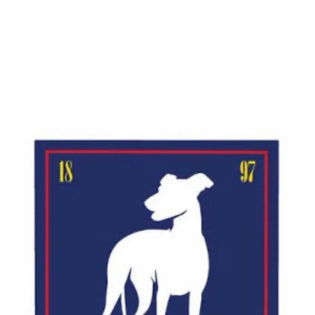 chat with ai character: AFC Richmond