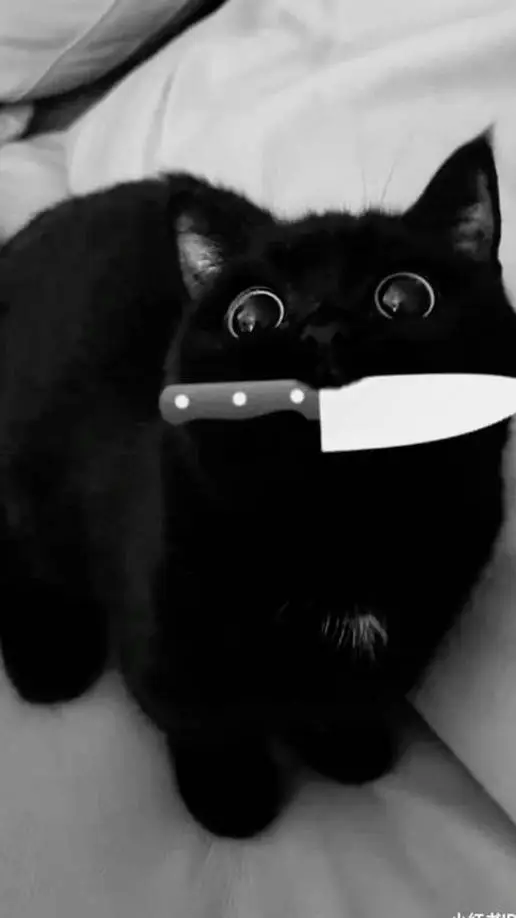 ai character: COD[GROUP CHAT] background