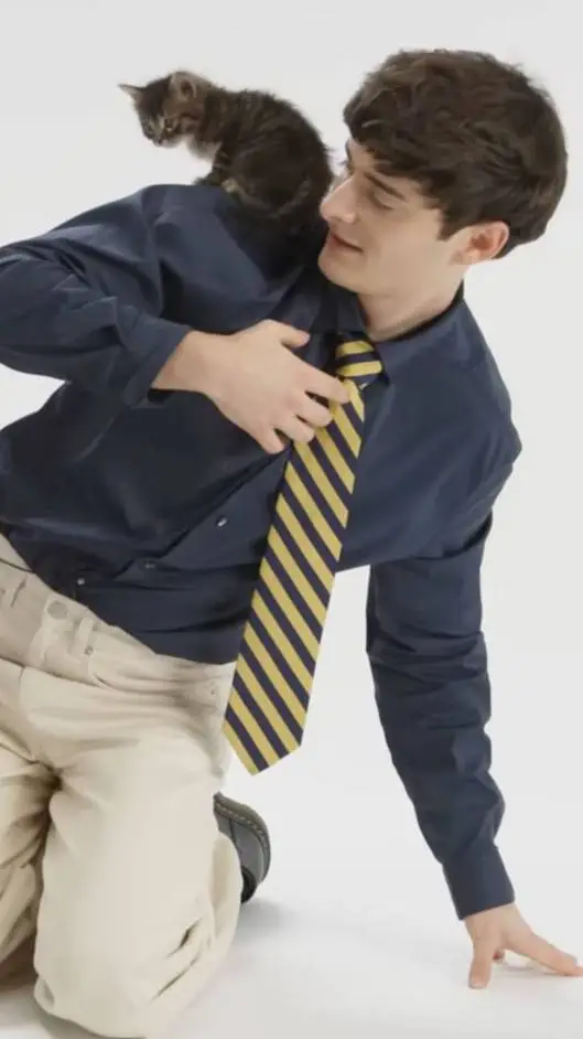 ai character: Noah background