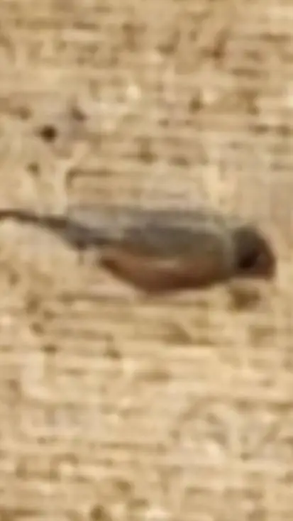 ai character: mha future background