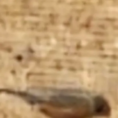 chat with ai character: big four fy