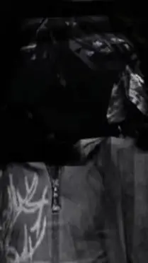 ai character: Joey background