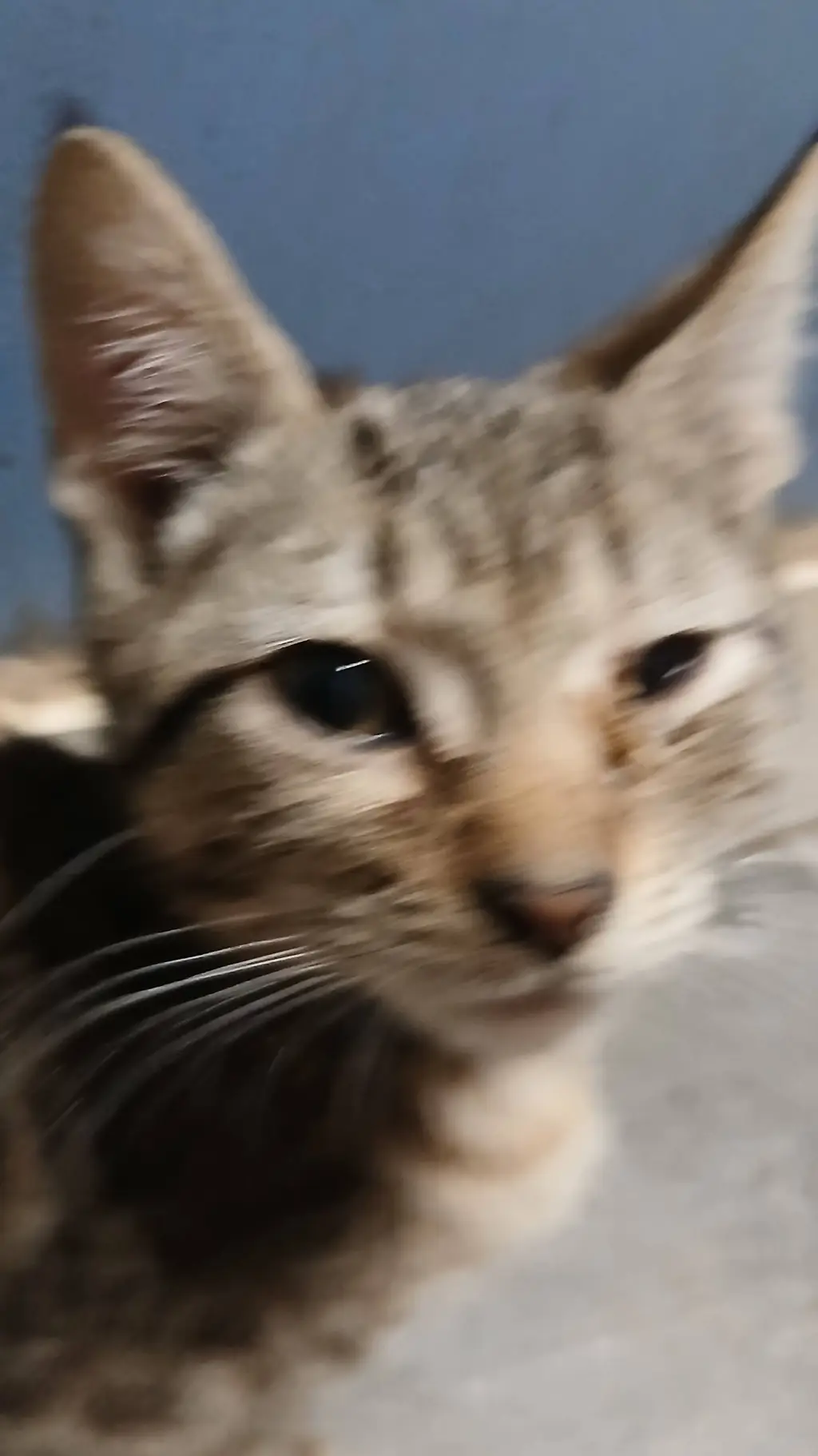 ai character: freaky dandy background