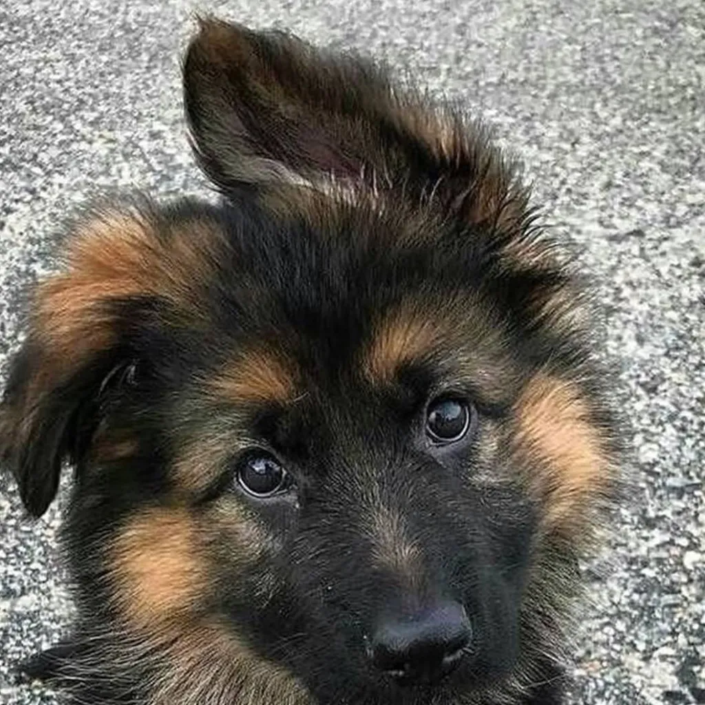 chat with ai character: Max