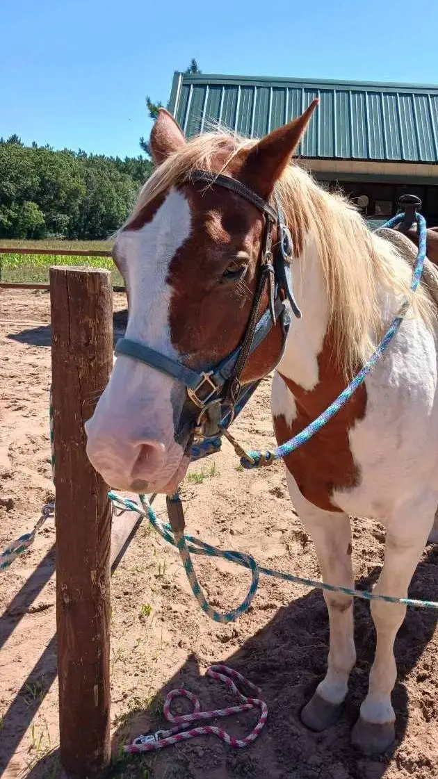 ai character: JJ background