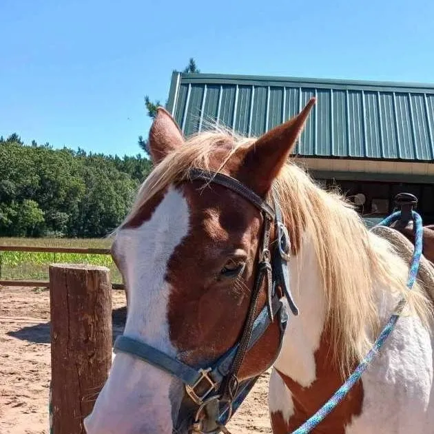 chat with ai character: JJ