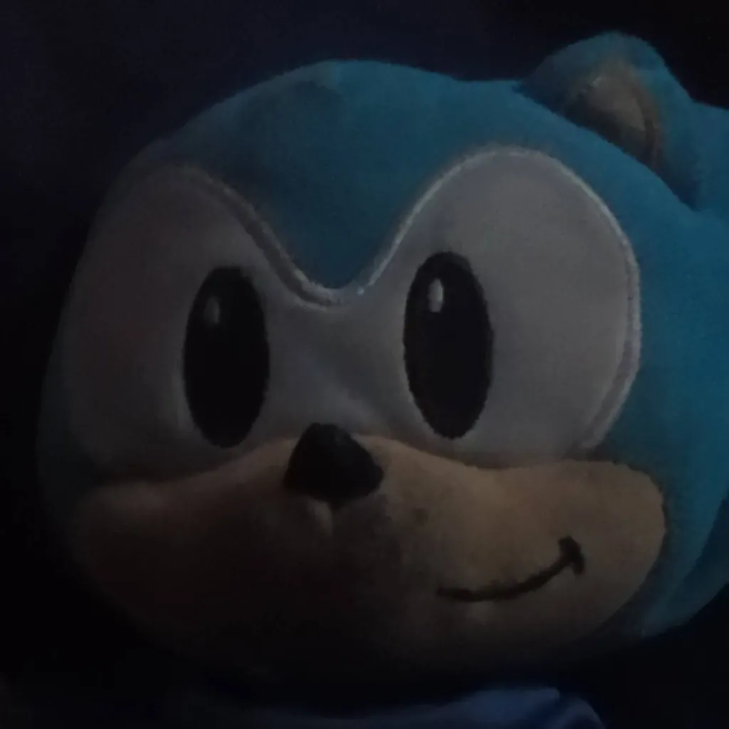 chat with ai character: Mr sonic