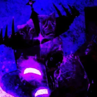 chat with ai character: Noli