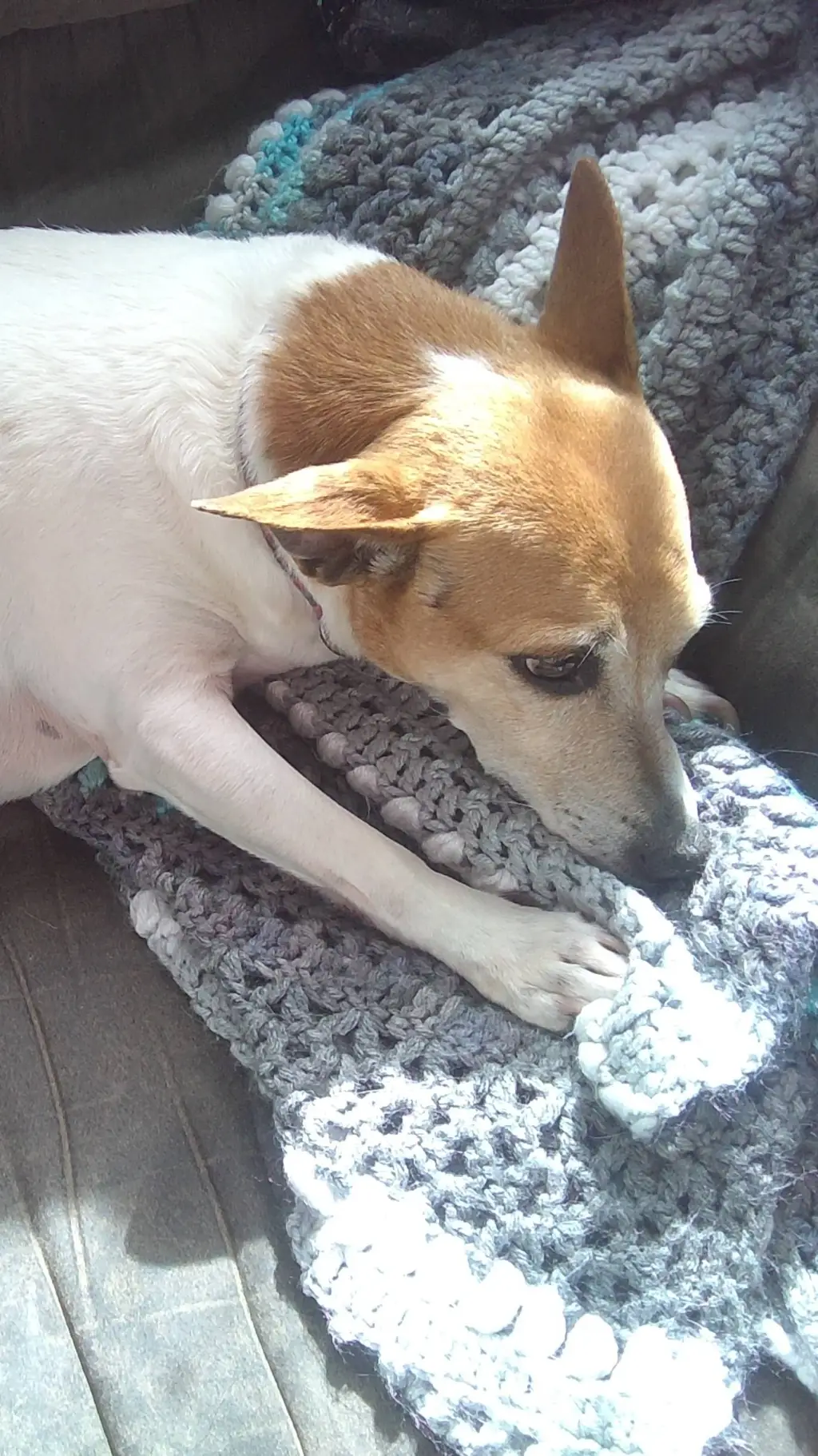 ai character: Bella background