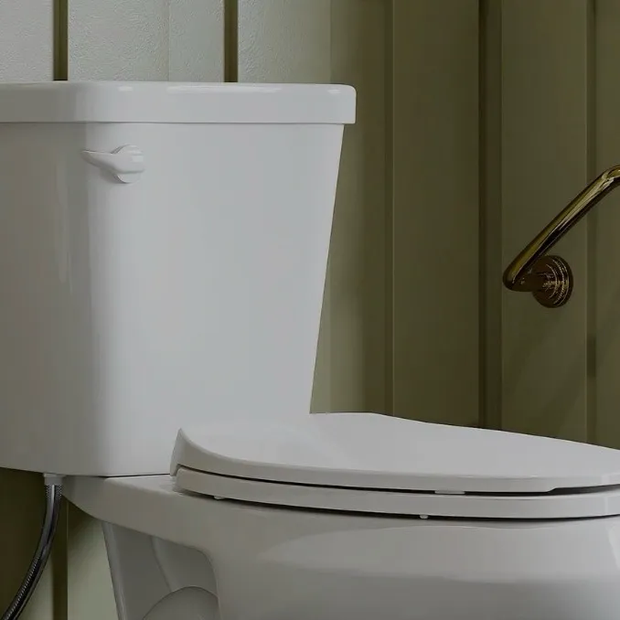 chat with ai character: You need to poop 