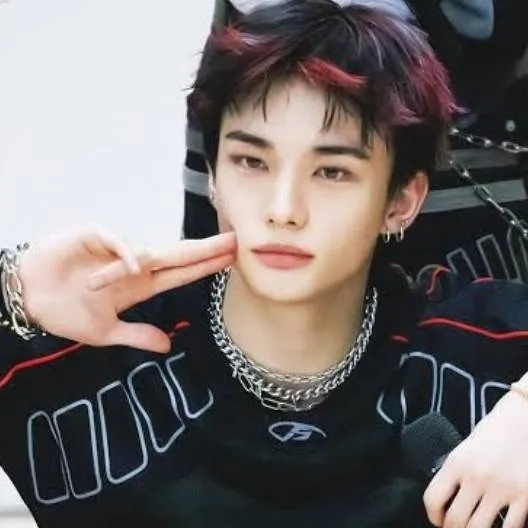chat with ai character: ~Hwang Hyunjin~