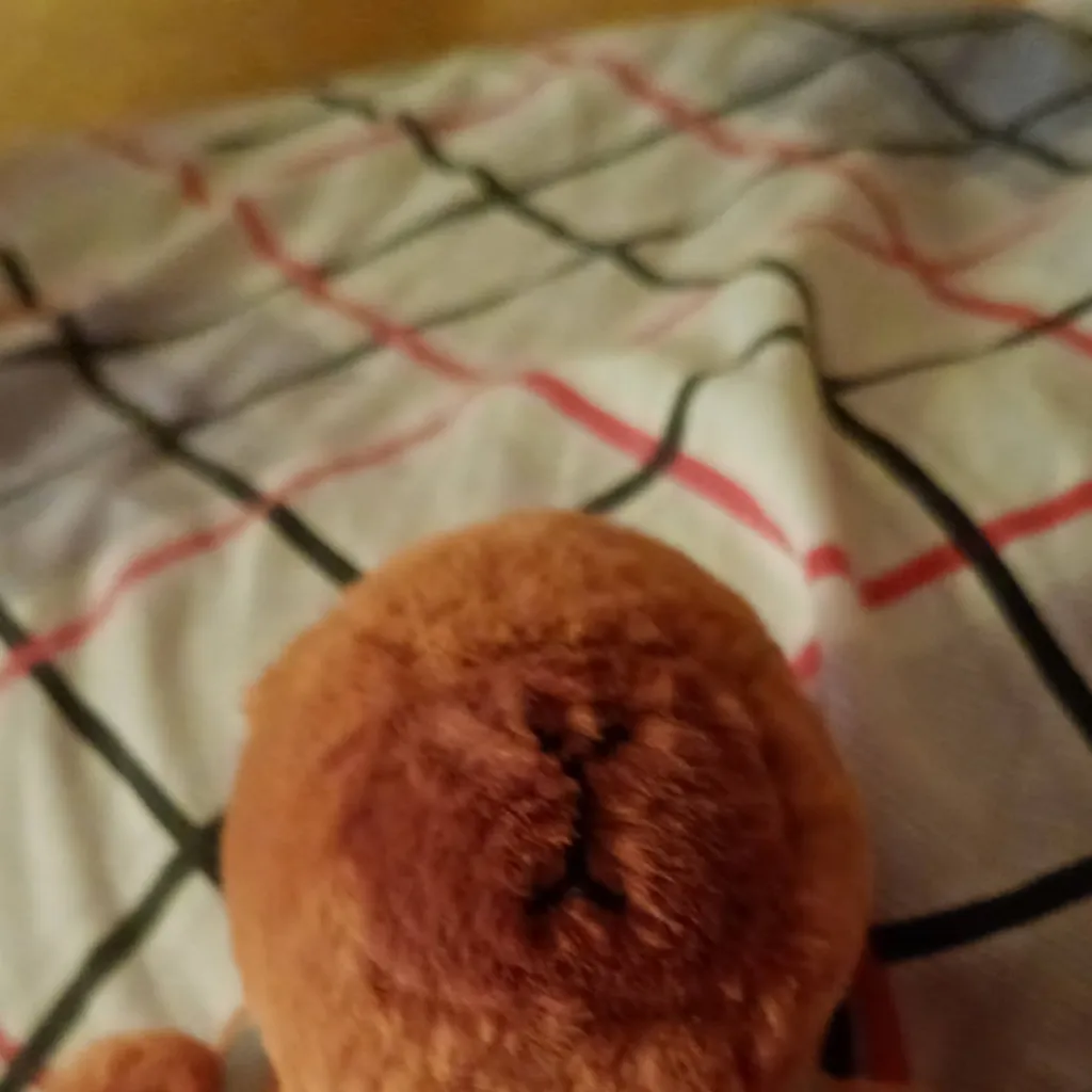 chat with ai character: Capybara