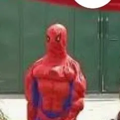 chat with ai character: temu ahh spiderguy