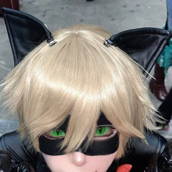 chat with ai character: CAT NOIR 