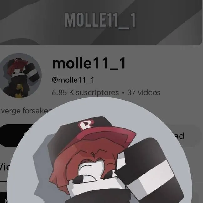 chat with ai character: molle11_1
