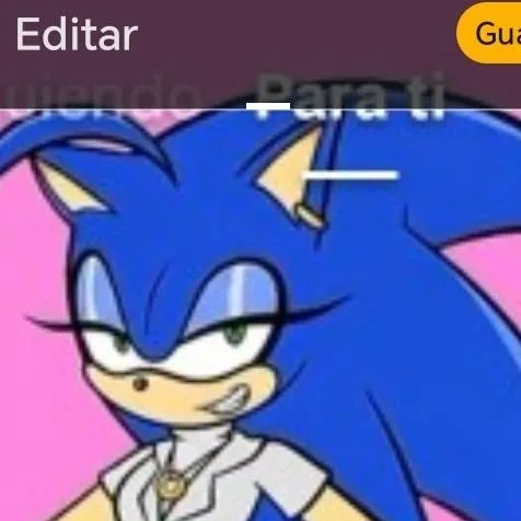chat with ai character: Mamá de sonic 