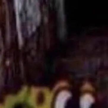 chat with ai character: textify ig