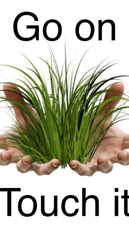 ai character: Touch Grass. background