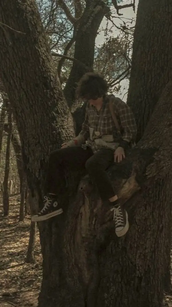 ai character: boy in the woods background