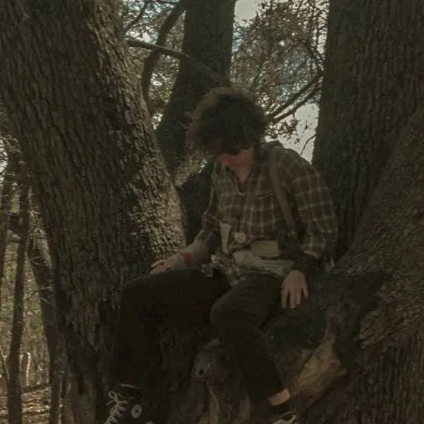 chat with ai character: boy in the woods