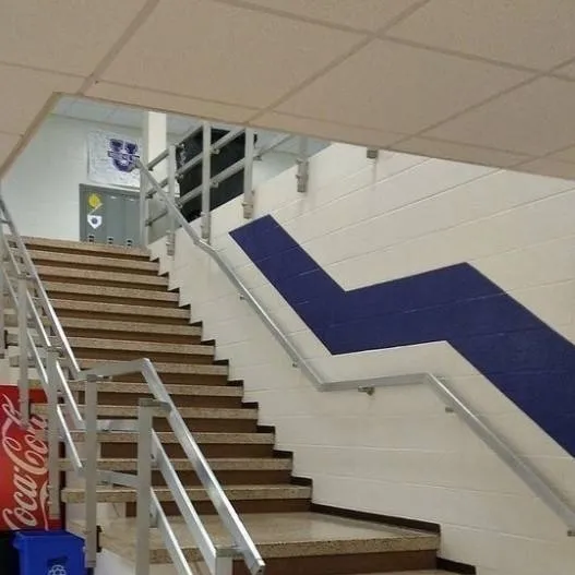 chat with ai character: aNiMaL sChOoL