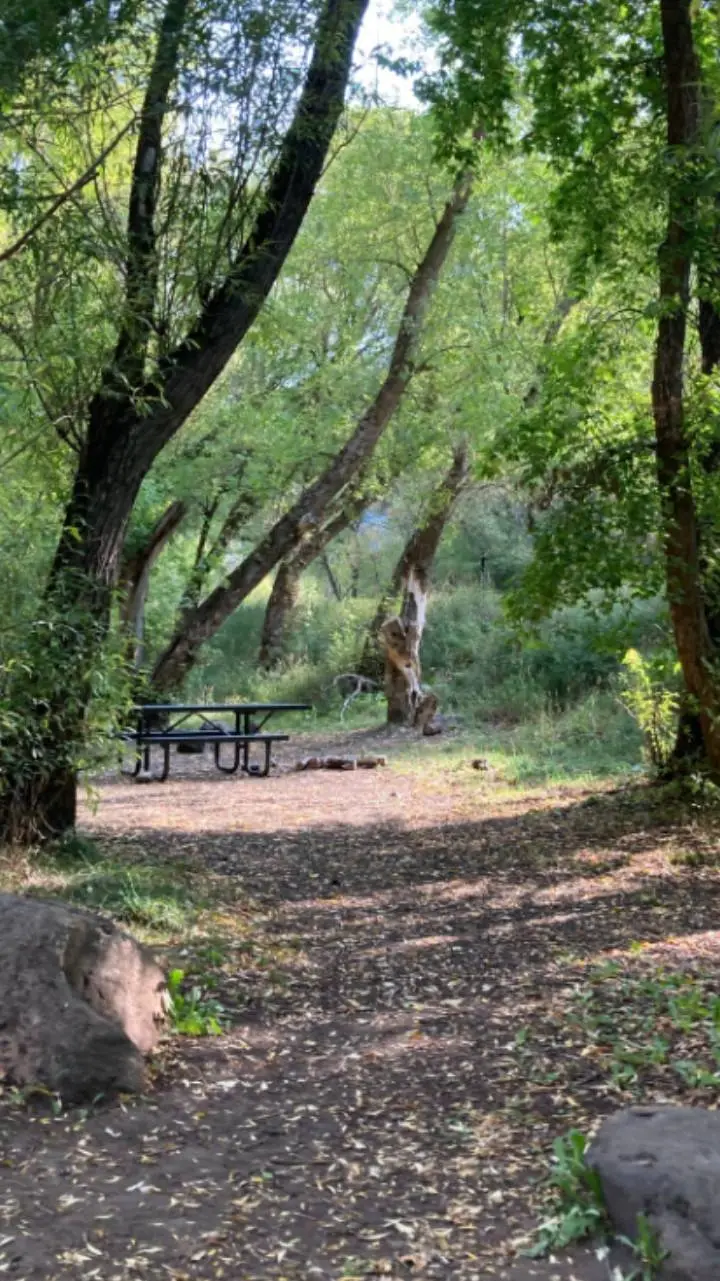 ai character: st summer camp  background