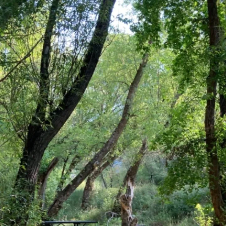 chat with ai character: st summer camp 